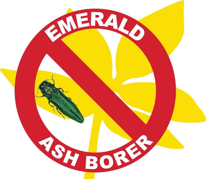 Control the destructive path of the emerald ash borer (EAB)