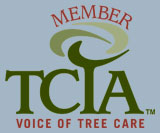TCIA Member