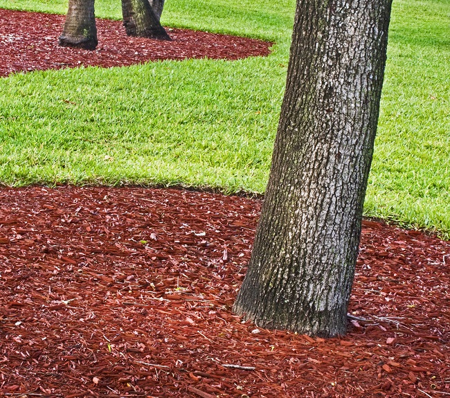 The Convenience and Simplicity of Mulch Delivery