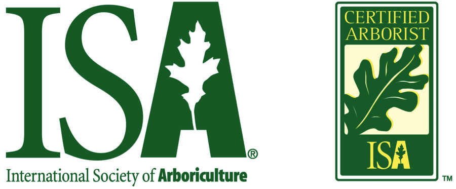 International Society of Arboriculture - certified arborist