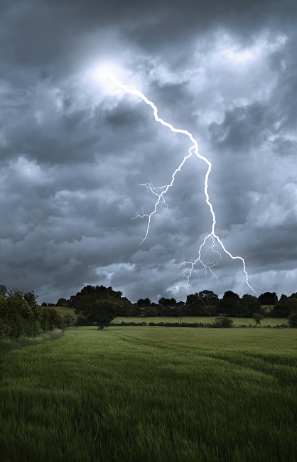 How Lightning Protection Works to Protect Texas Trees