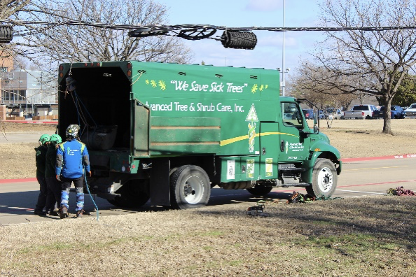 commercial tree services