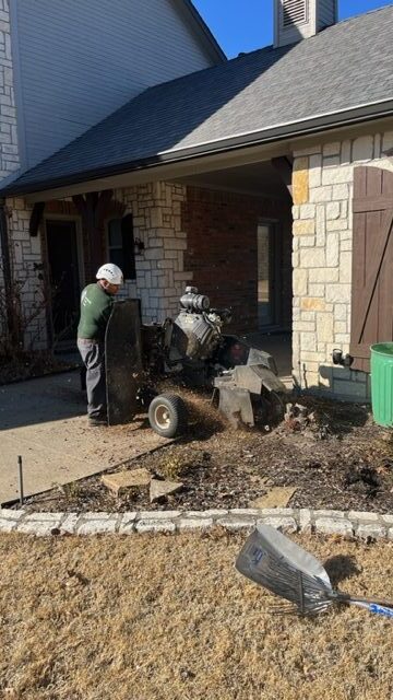 stump grinding