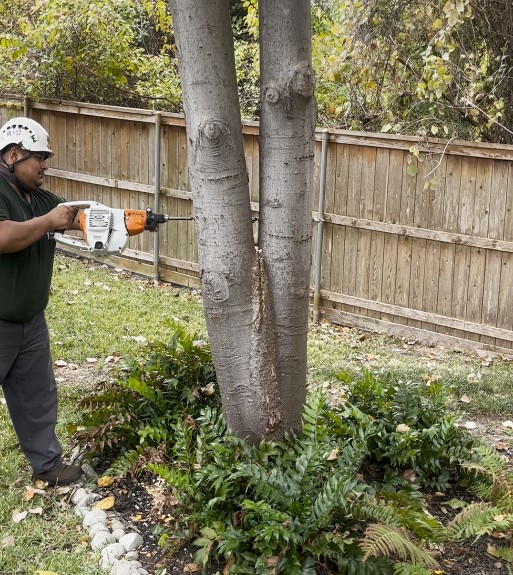 Specialized Tree Services Advanced Tree & Shrub Care, Inc.