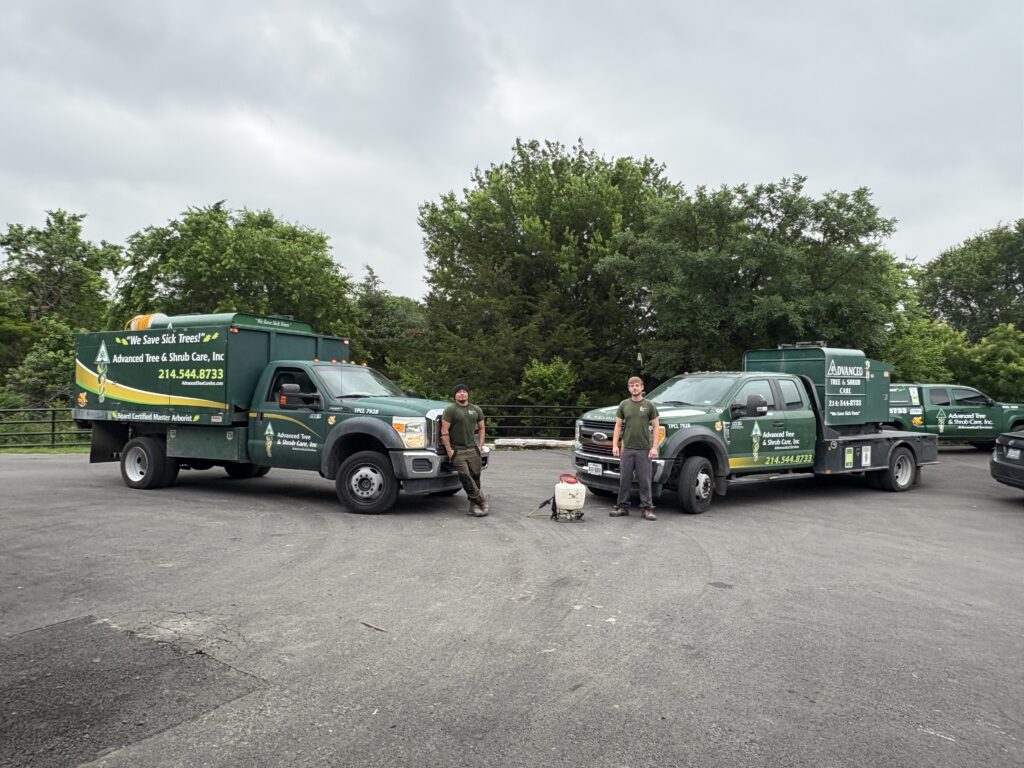 Advanced Tree & Shrub Care